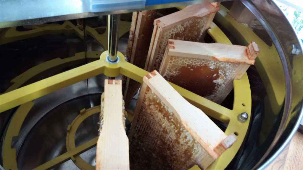 Extractor Loaded