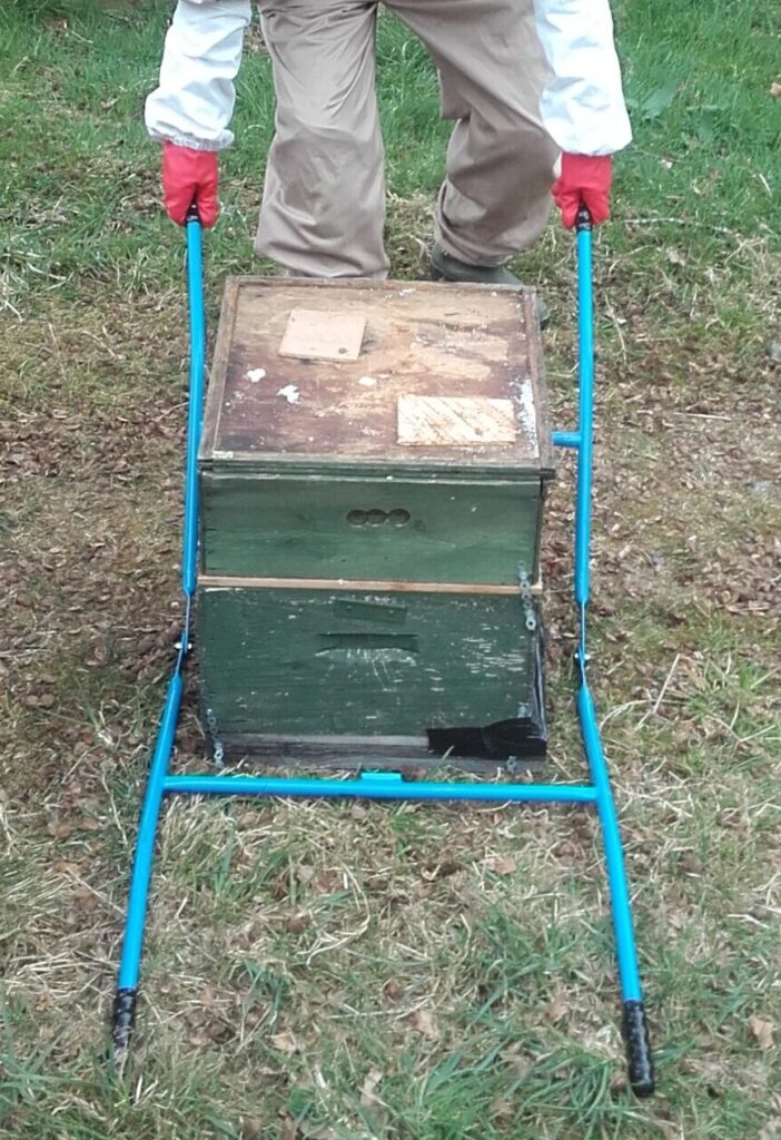 Hive Carrier